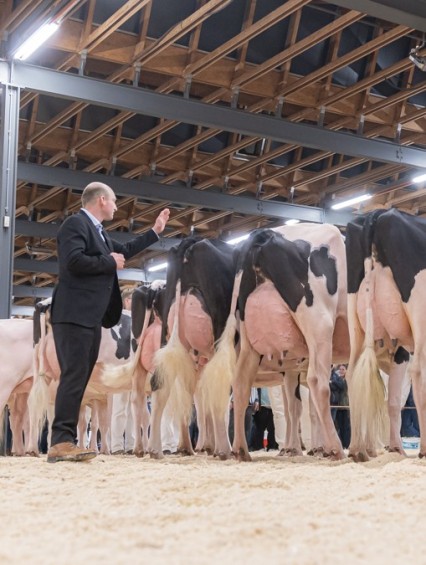Gruyère Expo Holstein