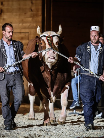 125e Marché-concours de taureaux
