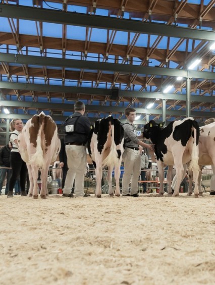 Expo Holstein et Red Holstein Glâne-Veveyse